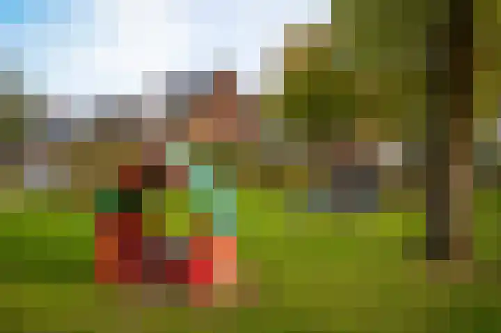 het Sant 12 Maasbommel thumbnail 43