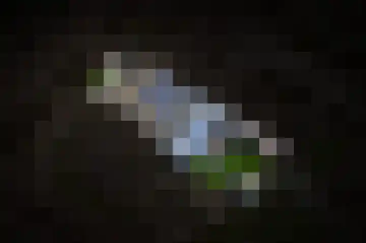 het Sant 12 Maasbommel thumbnail 46