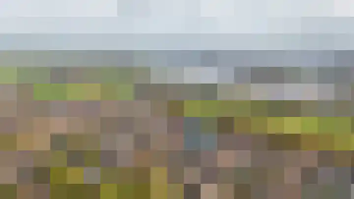 het Sant 12 Maasbommel thumbnail 49