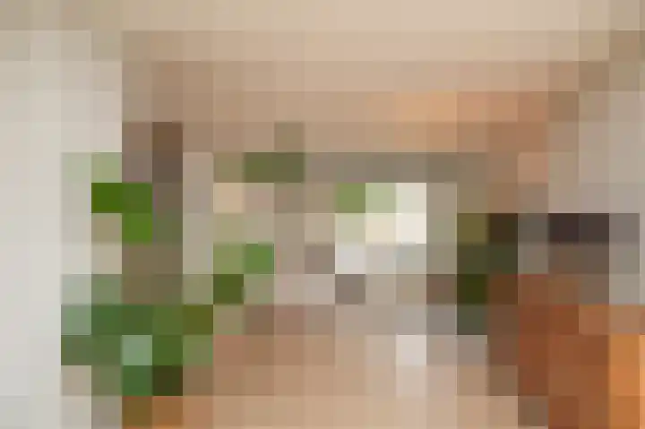 het Sant 12 Maasbommel thumbnail 7