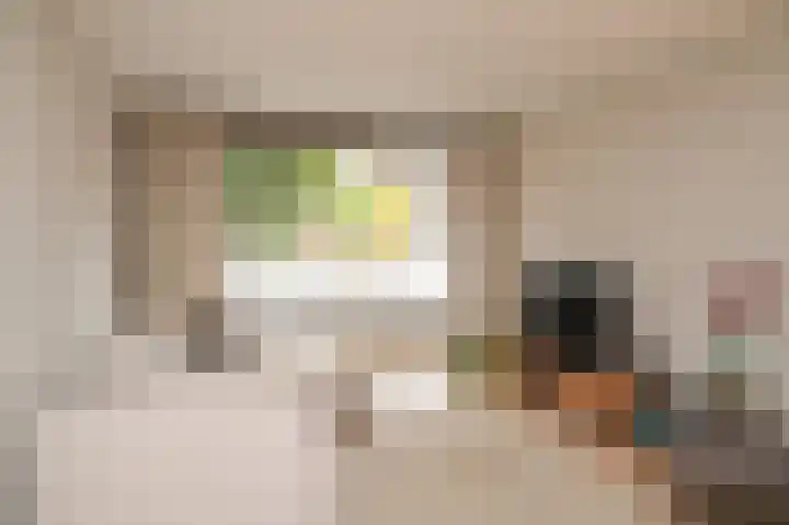 het Sant 12 Maasbommel thumbnail 8