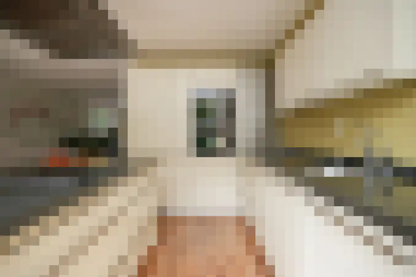 het Sant 13 Maasbommel thumbnail 11