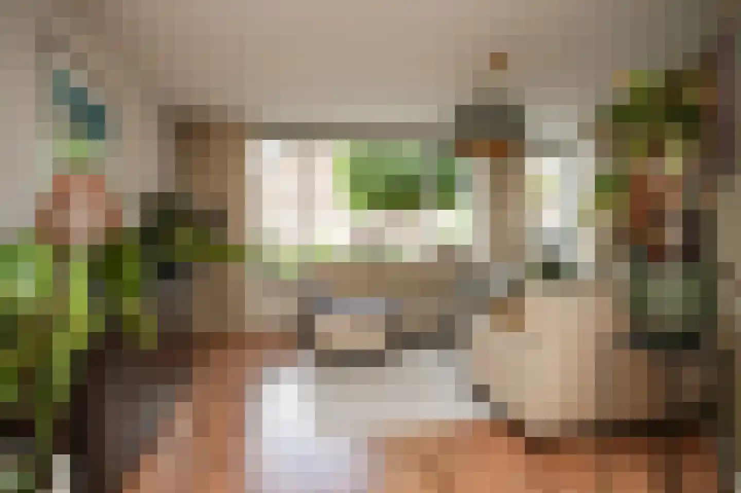 het Sant 13 Maasbommel thumbnail 14