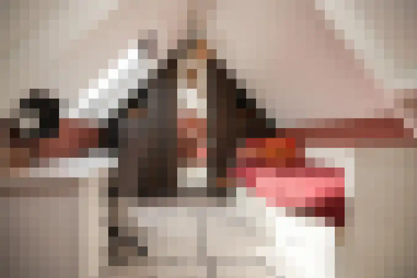 het Sant 13 Maasbommel thumbnail 25