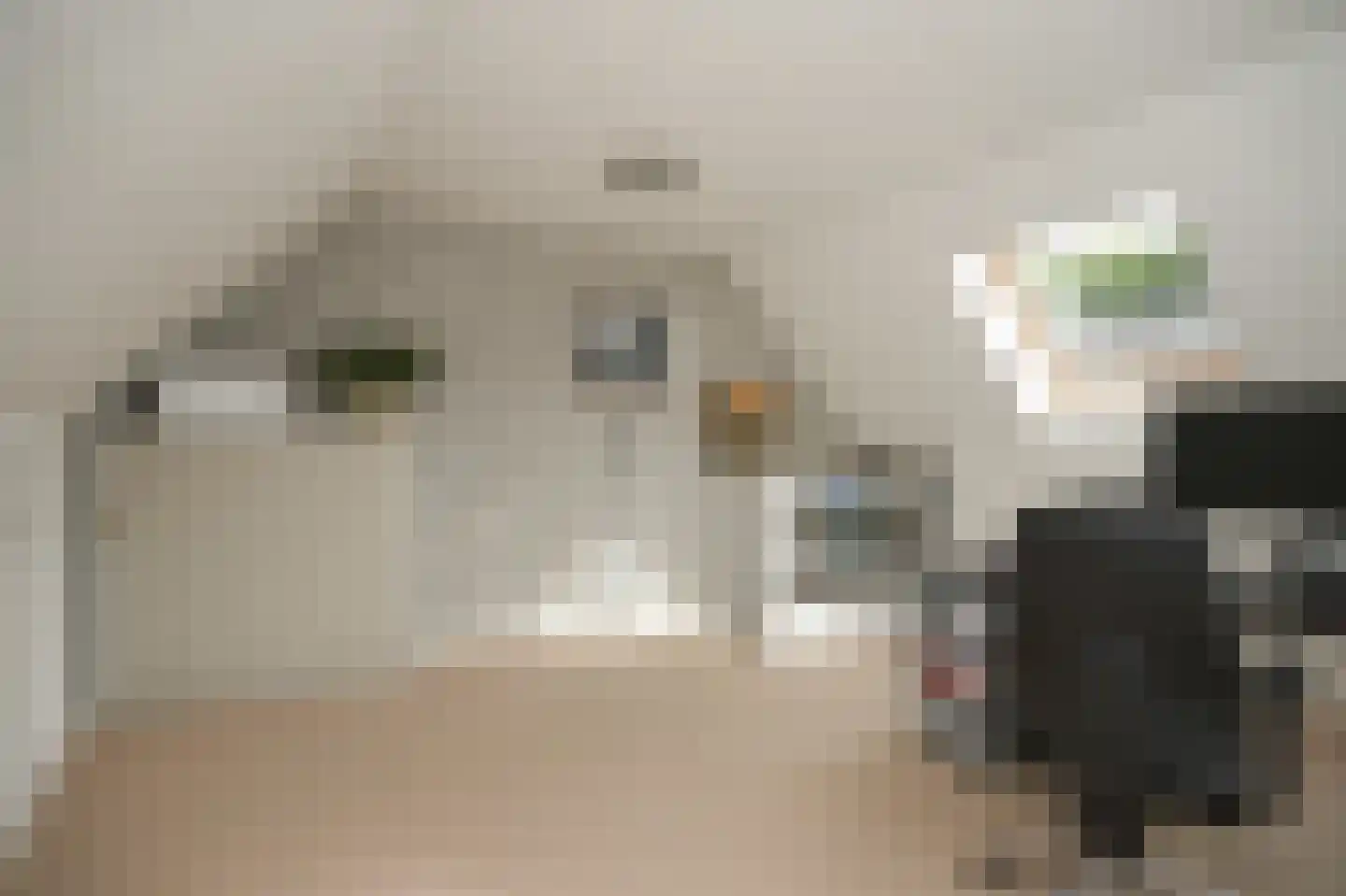 het Sant 13 Maasbommel thumbnail 29