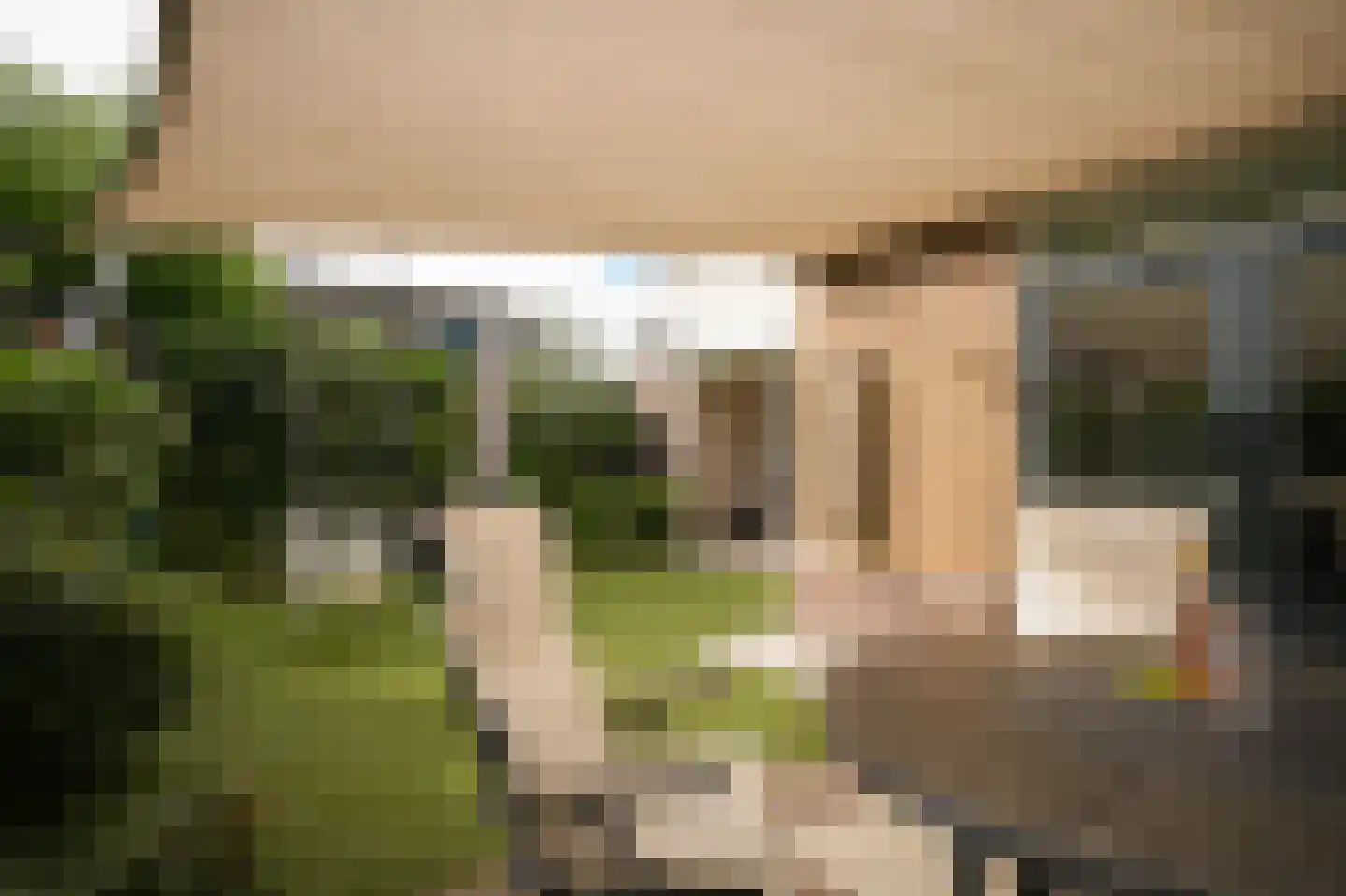 het Sant 13 Maasbommel thumbnail 34