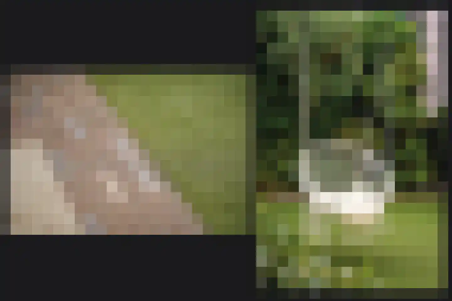 het Sant 13 Maasbommel thumbnail 35