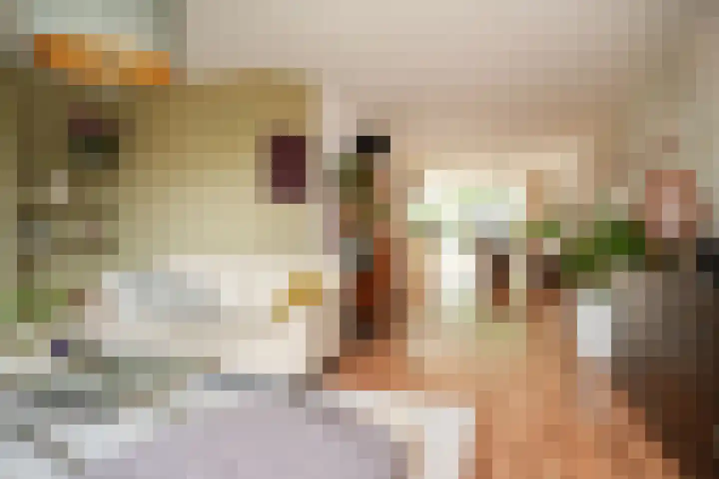 het Sant 13 Maasbommel thumbnail 4
