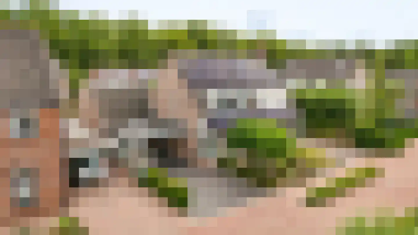 het Sant 13 Maasbommel thumbnail 41