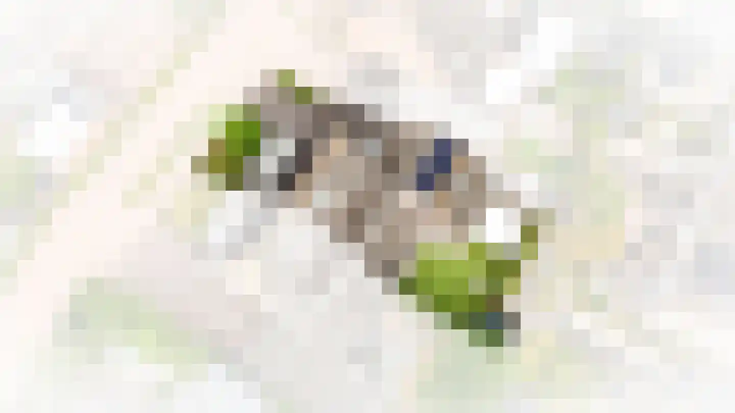 het Sant 13 Maasbommel thumbnail 43