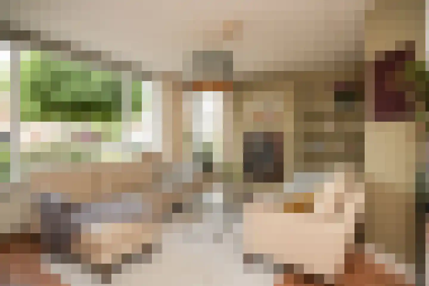 het Sant 13 Maasbommel thumbnail 5