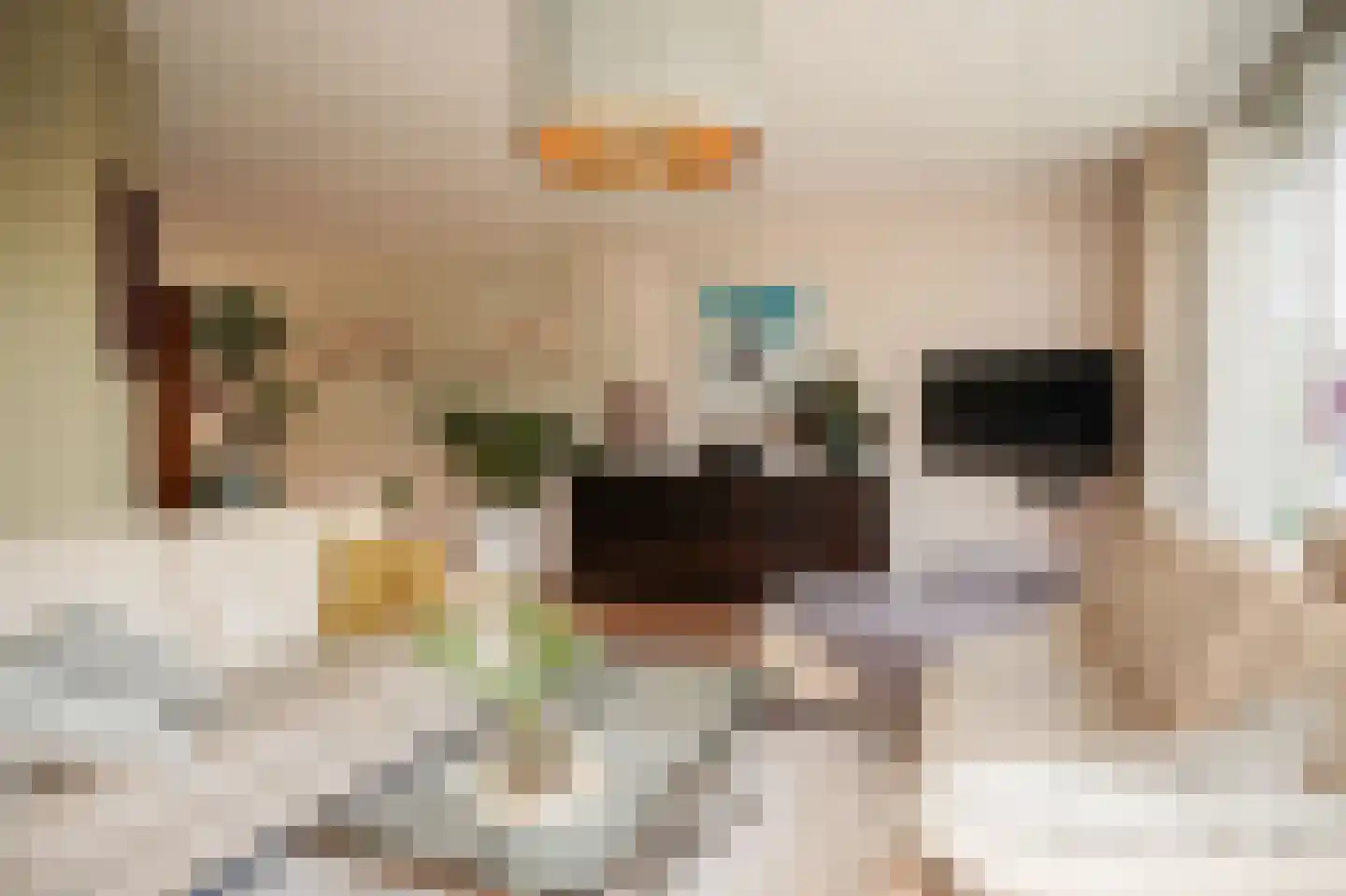 het Sant 13 Maasbommel thumbnail 6