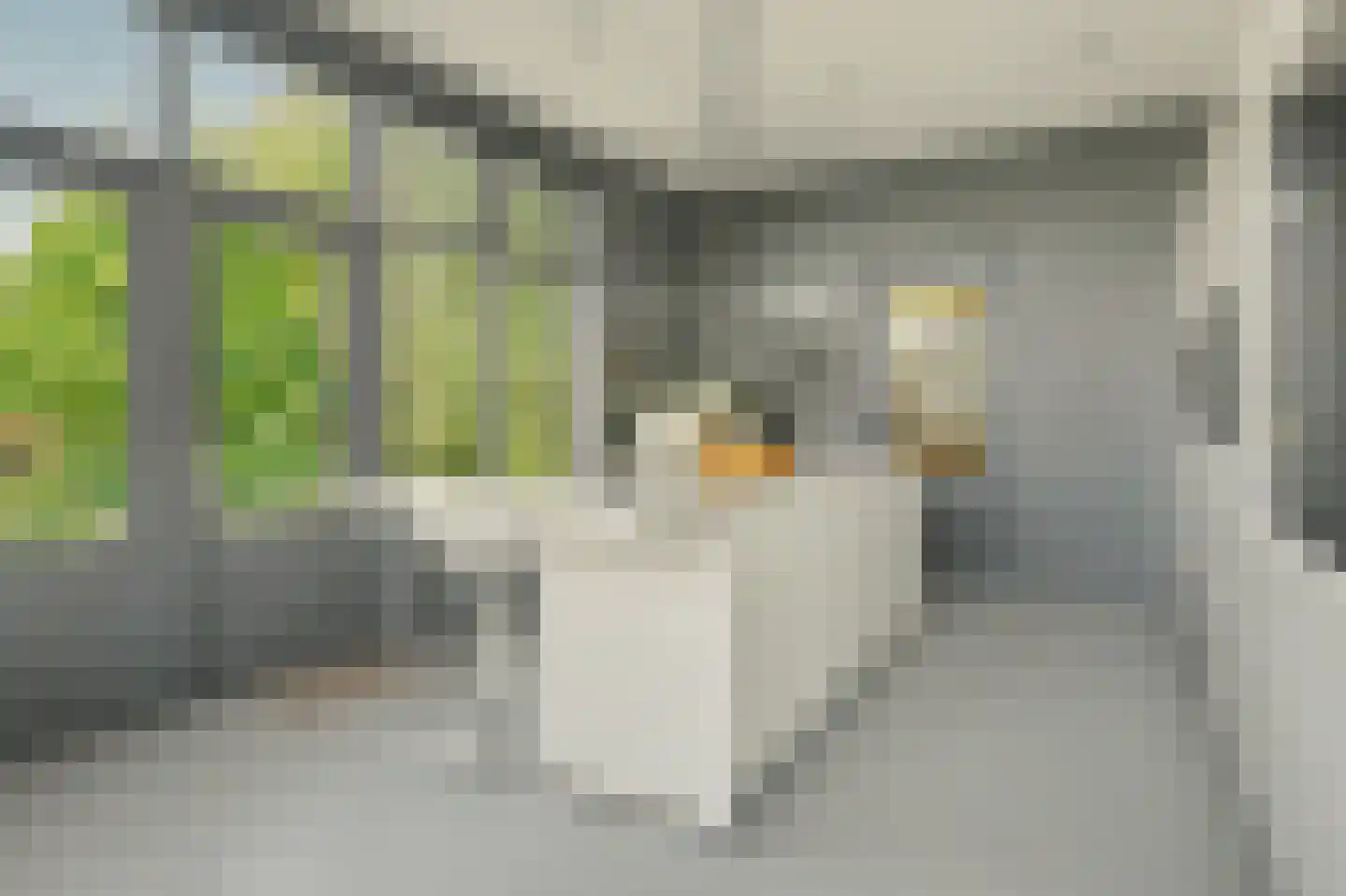 Het Sas 1 Wilhelminadorp thumbnail 17