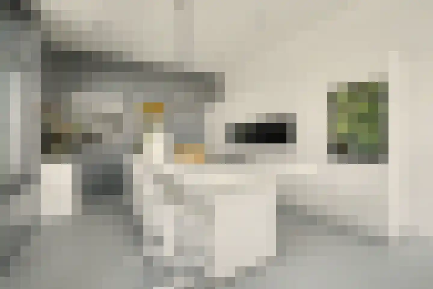 Het Sas 1 Wilhelminadorp thumbnail 18