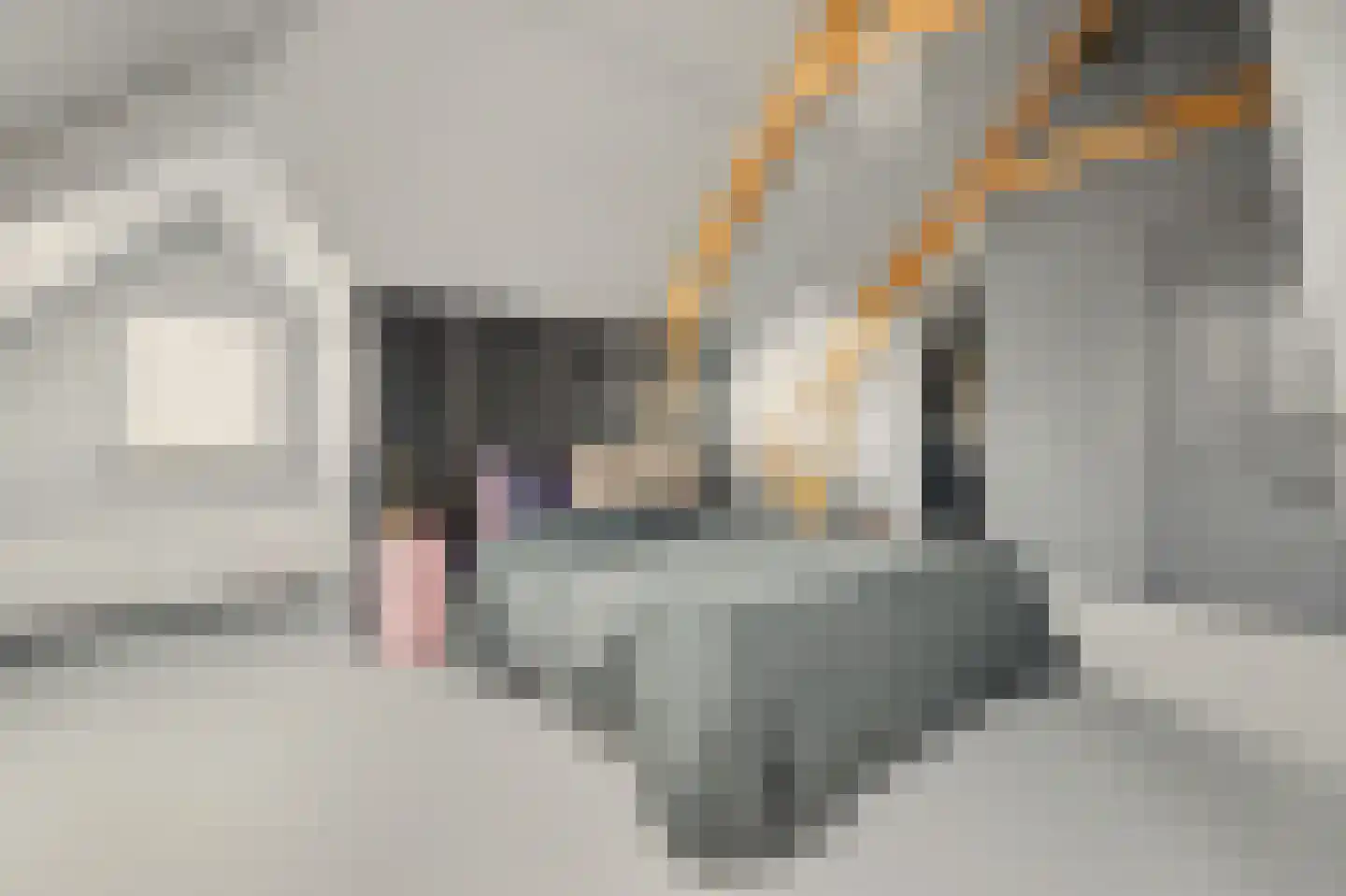 Het Sas 1 Wilhelminadorp thumbnail 24
