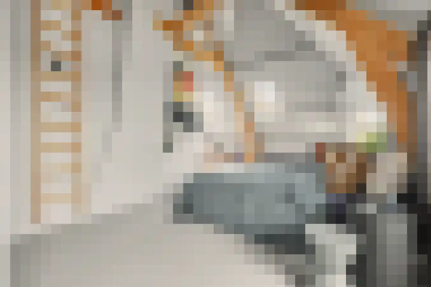 Het Sas 1 Wilhelminadorp thumbnail 25