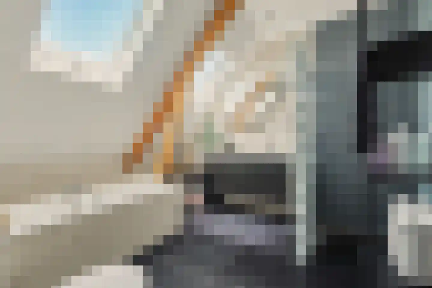Het Sas 1 Wilhelminadorp thumbnail 27