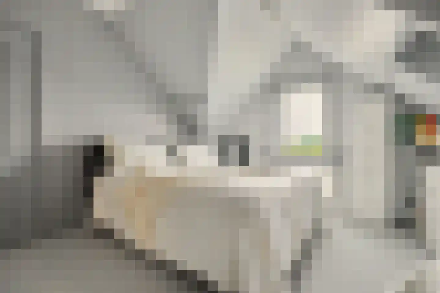 Het Sas 1 Wilhelminadorp thumbnail 31