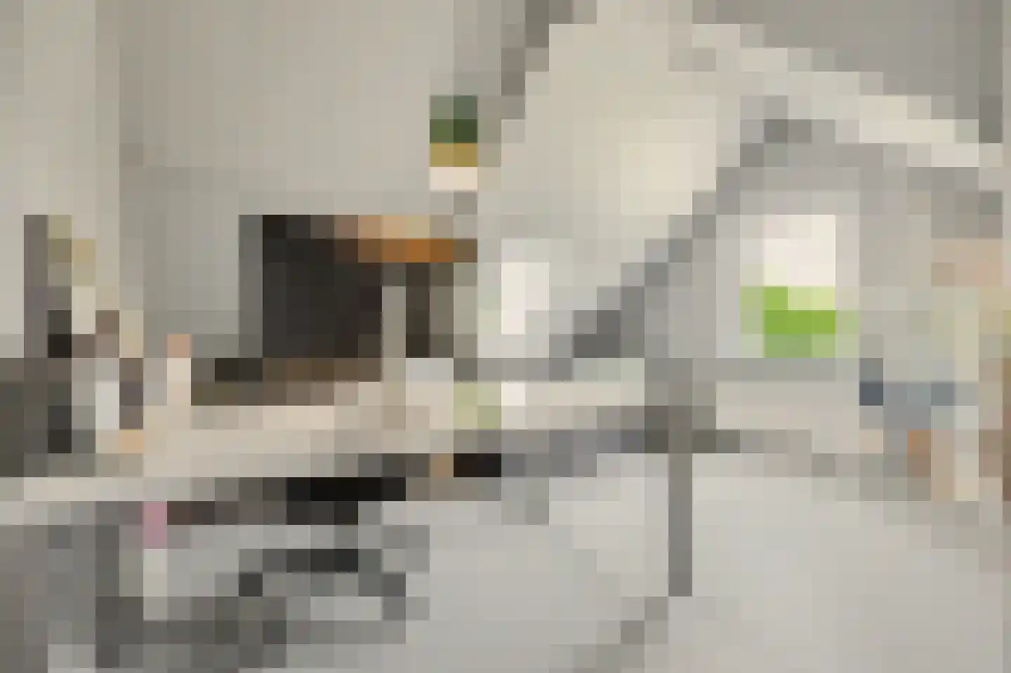 Het Sas 1 Wilhelminadorp thumbnail 32