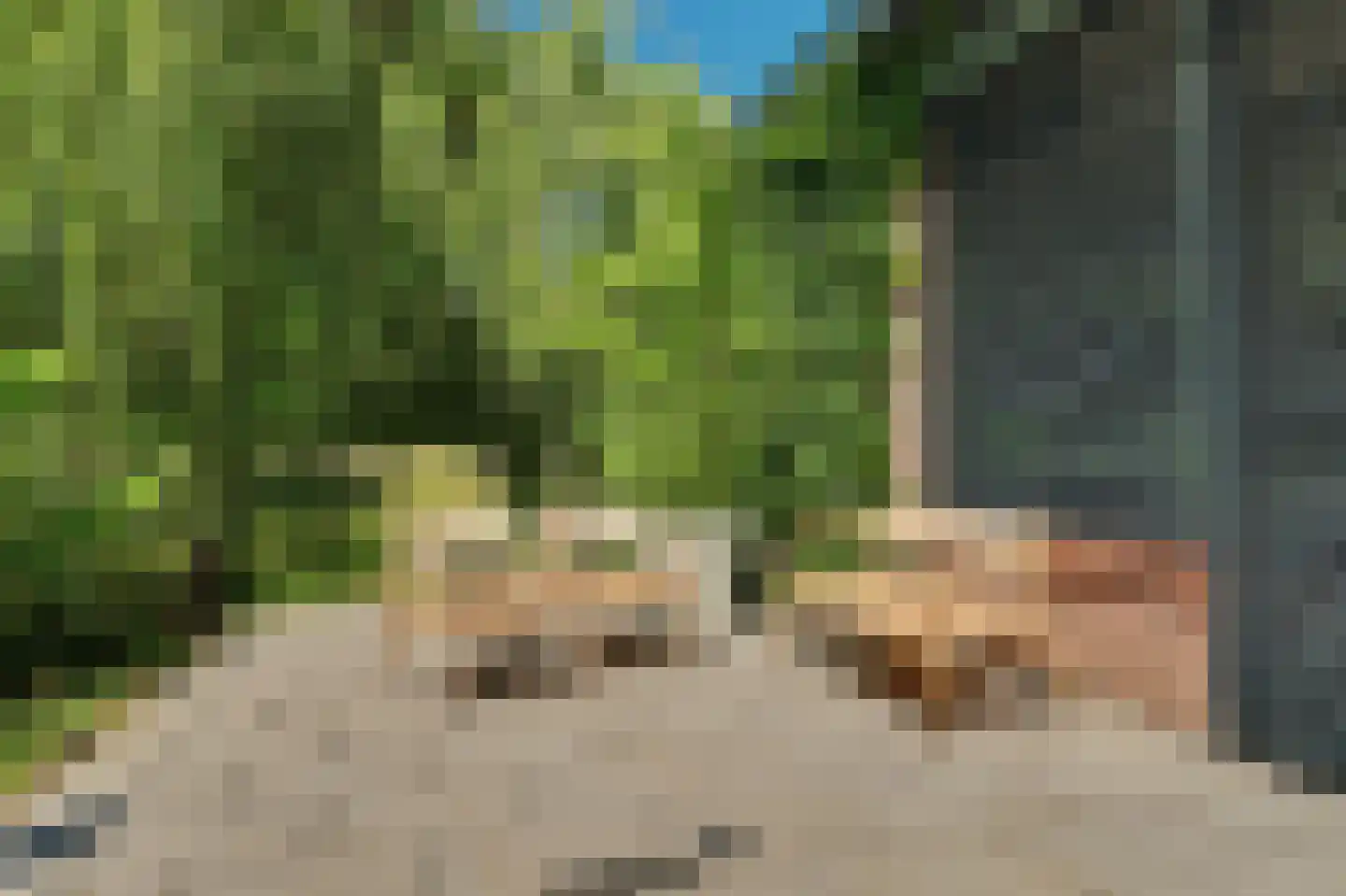 Het Sas 1 Wilhelminadorp thumbnail 36