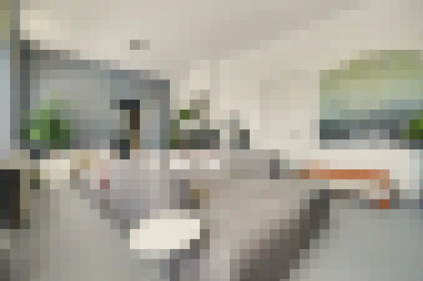 Het Sas 1 Wilhelminadorp thumbnail 8