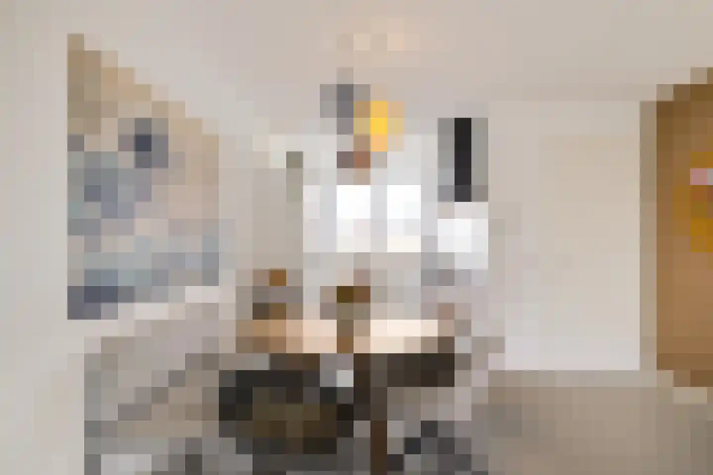 Het Sas 16 Meerstad thumbnail 10