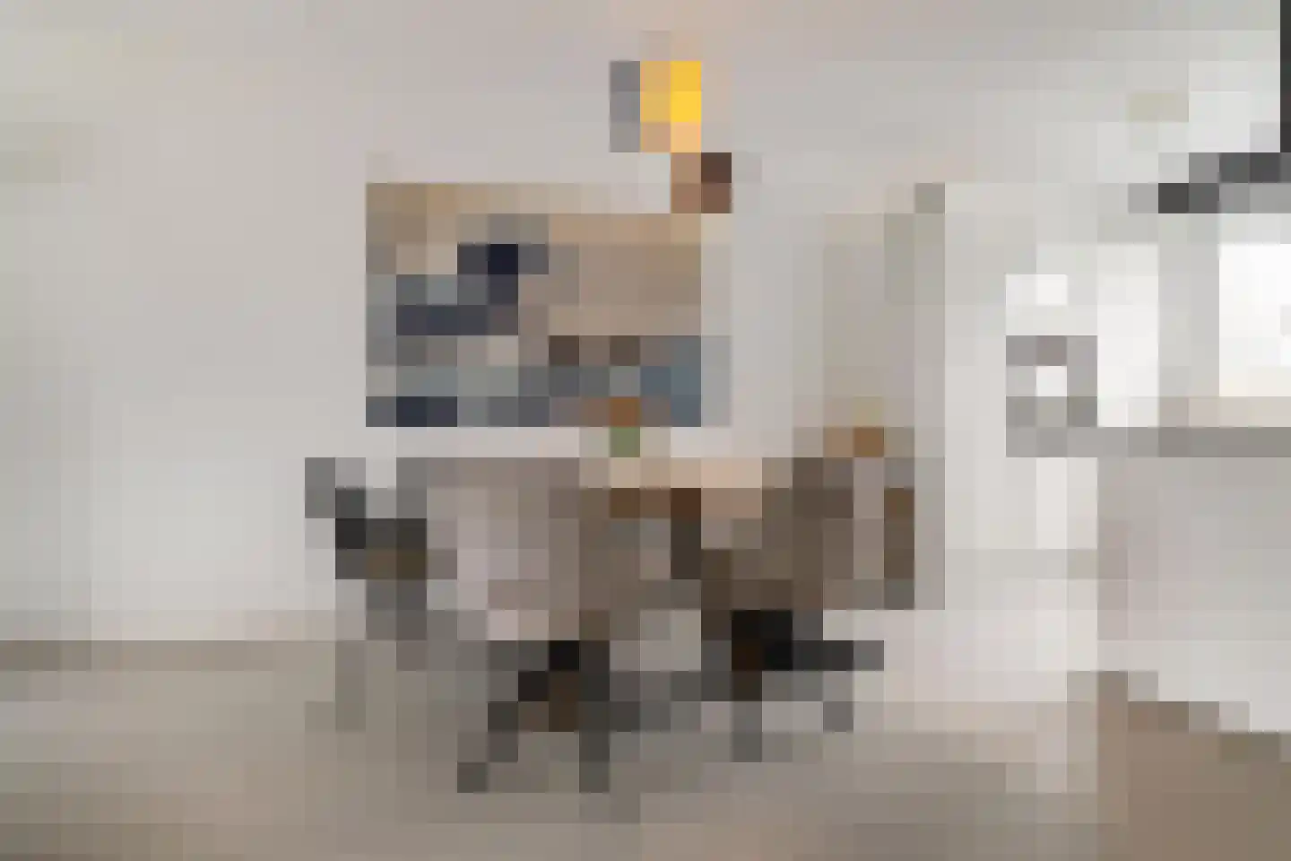 Het Sas 16 Meerstad thumbnail 12