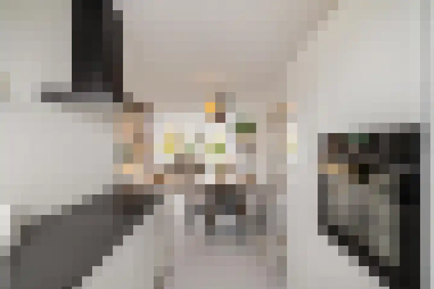 Het Sas 16 Meerstad thumbnail 15