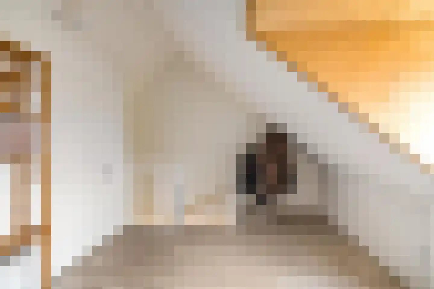 Het Sas 16 Meerstad thumbnail 28