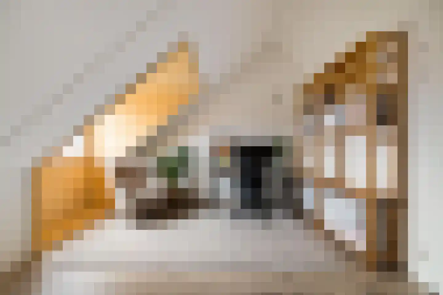 Het Sas 16 Meerstad thumbnail 29