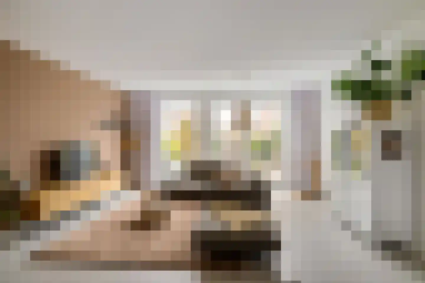 Het Sas 16 Meerstad thumbnail 4