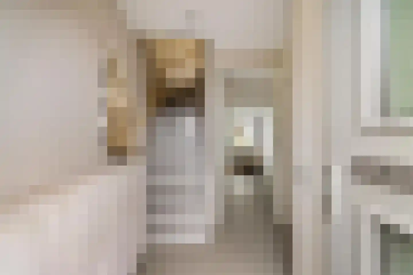 Het Sas 16 Meerstad thumbnail 6