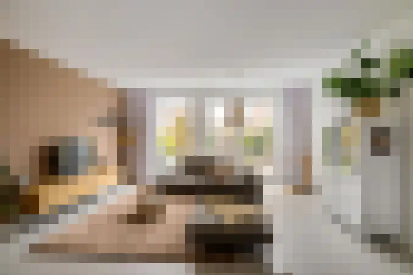 Het Sas 16 Meerstad thumbnail 7