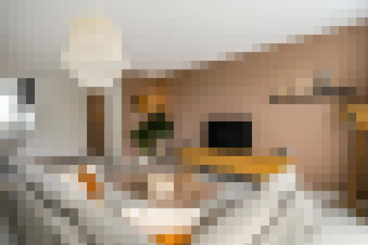 Het Sas 16 Meerstad thumbnail 8