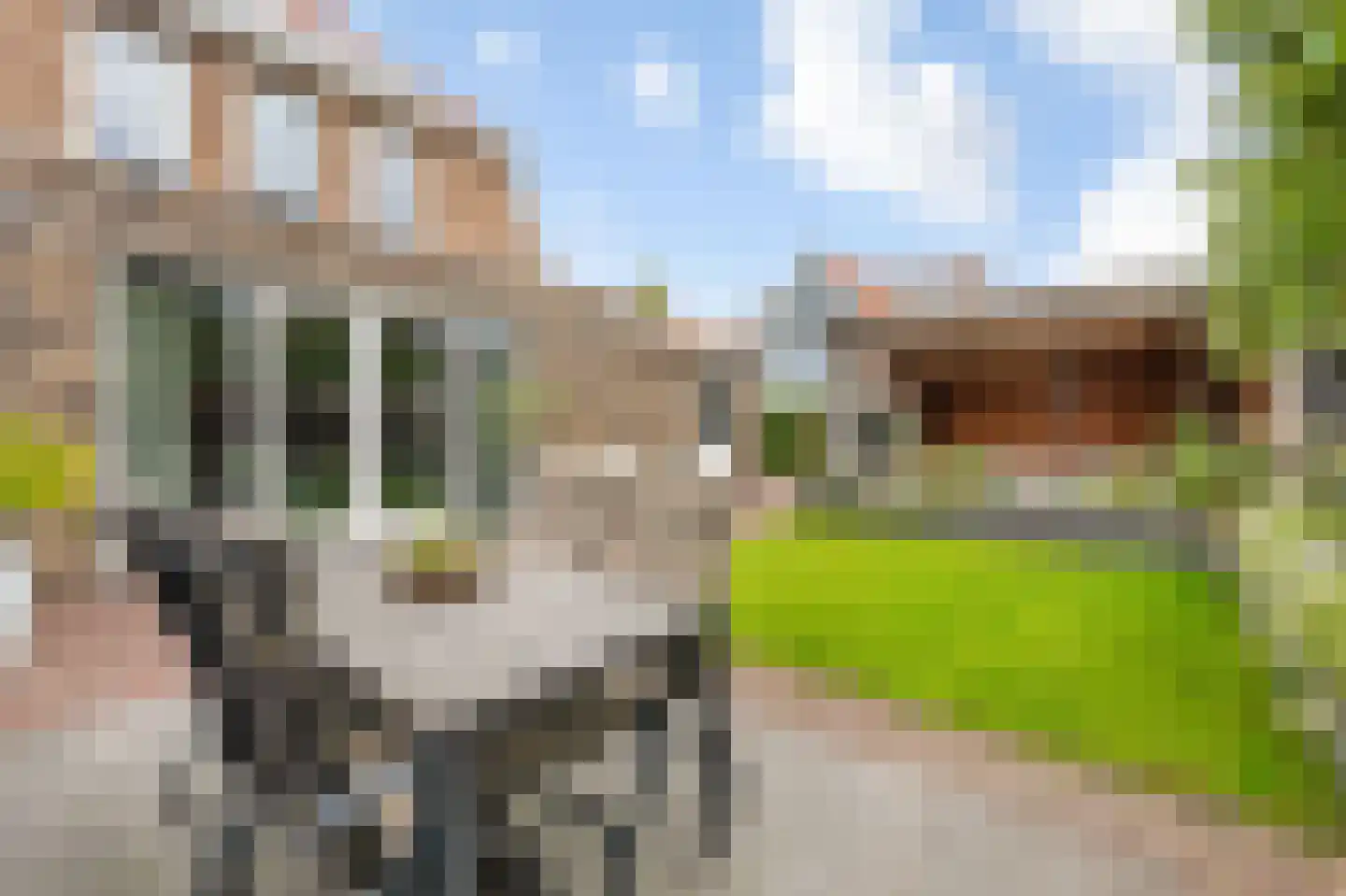 Het Schaakbord 7 Assendelft thumbnail 15
