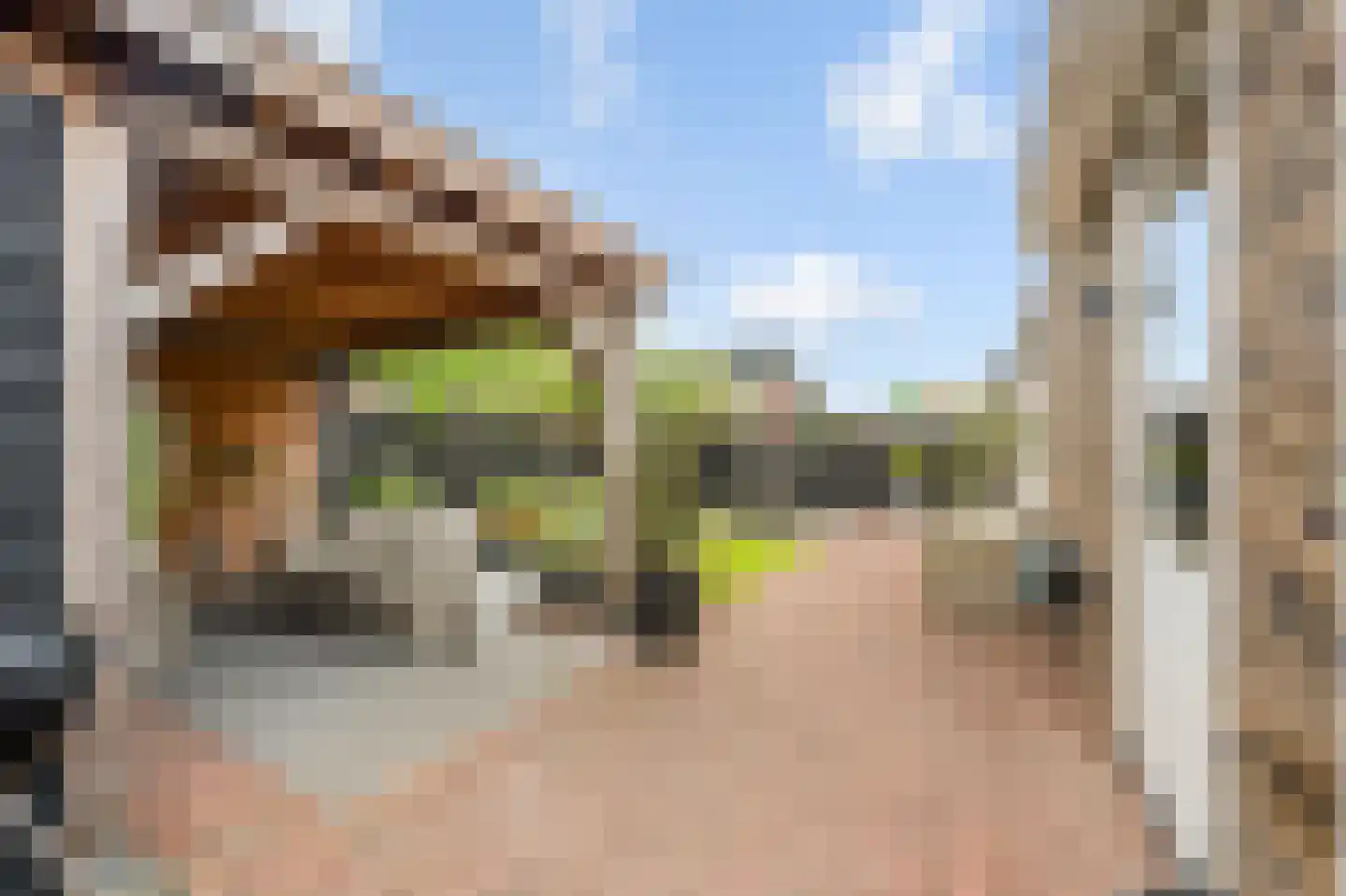Het Schaakbord 7 Assendelft thumbnail 16