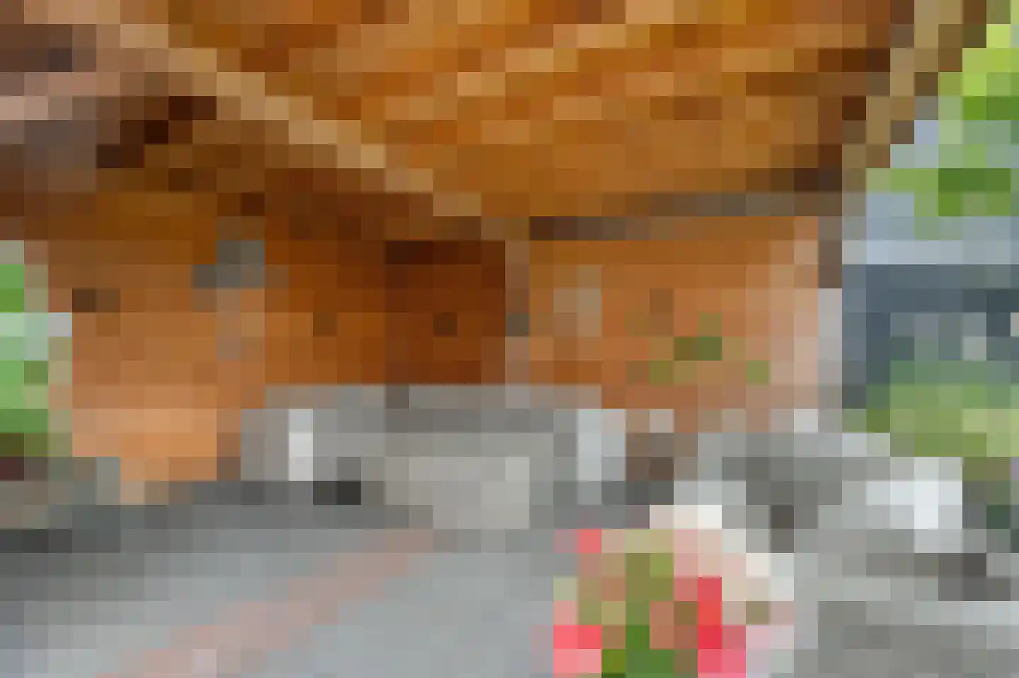 Het Schaakbord 7 Assendelft thumbnail 18
