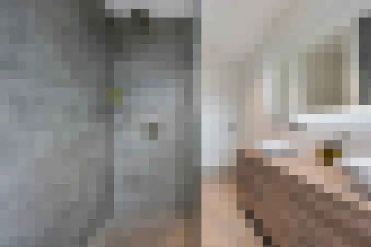 Het Schaakbord 7 Assendelft thumbnail 24