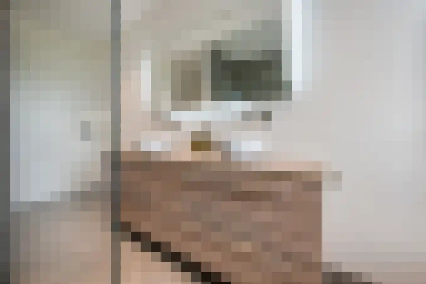 Het Schaakbord 7 Assendelft thumbnail 25