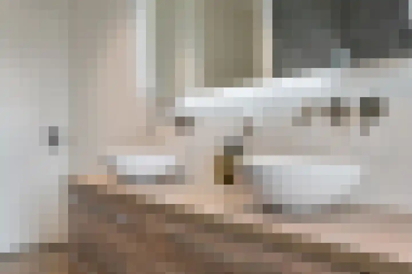 Het Schaakbord 7 Assendelft thumbnail 26