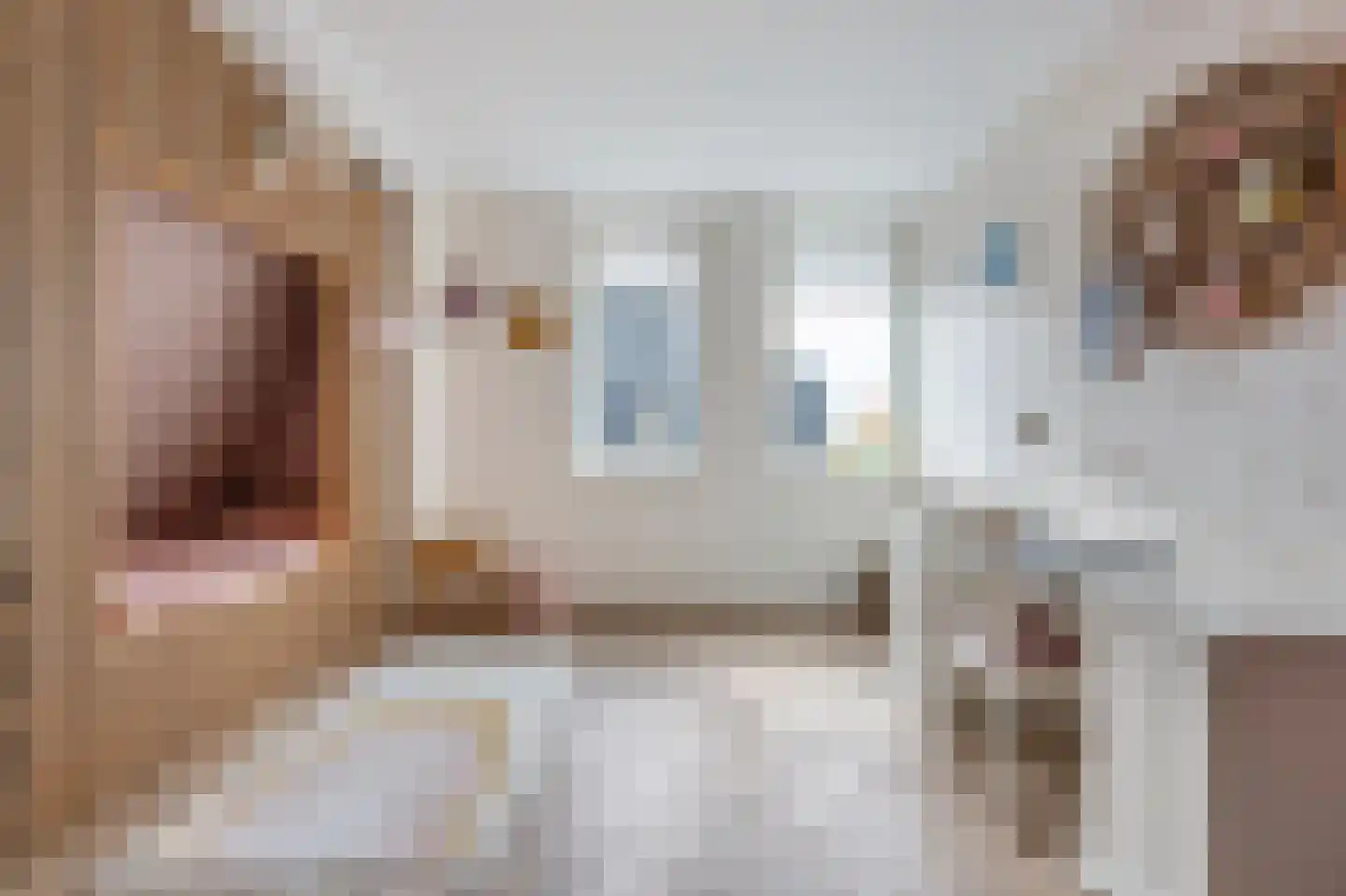 Het Schaakbord 7 Assendelft thumbnail 30