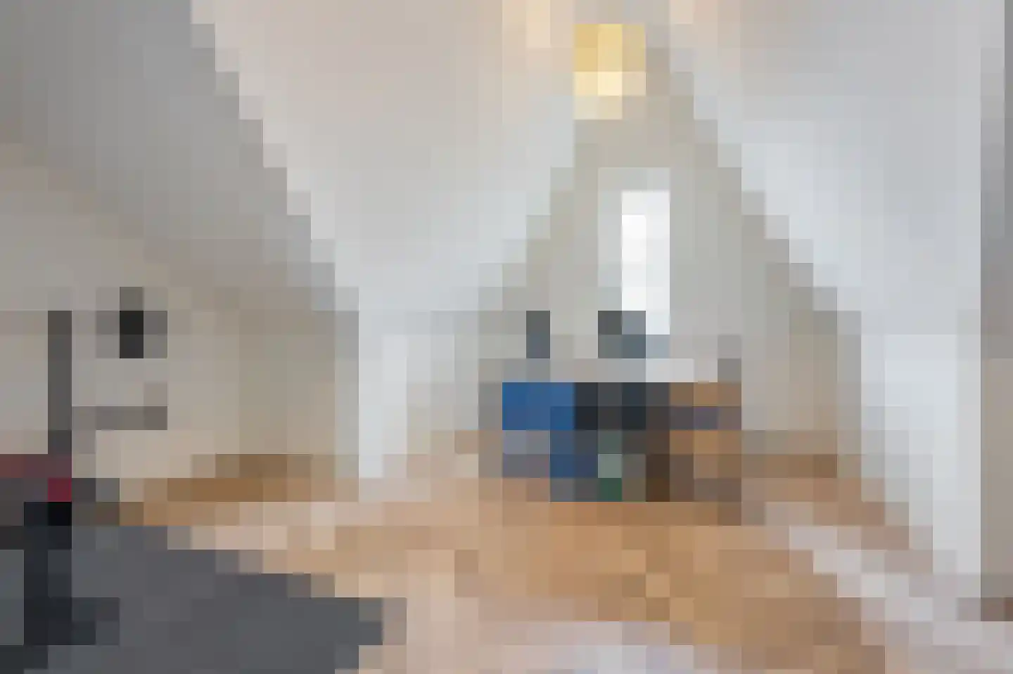 Het Schaakbord 7 Assendelft thumbnail 34