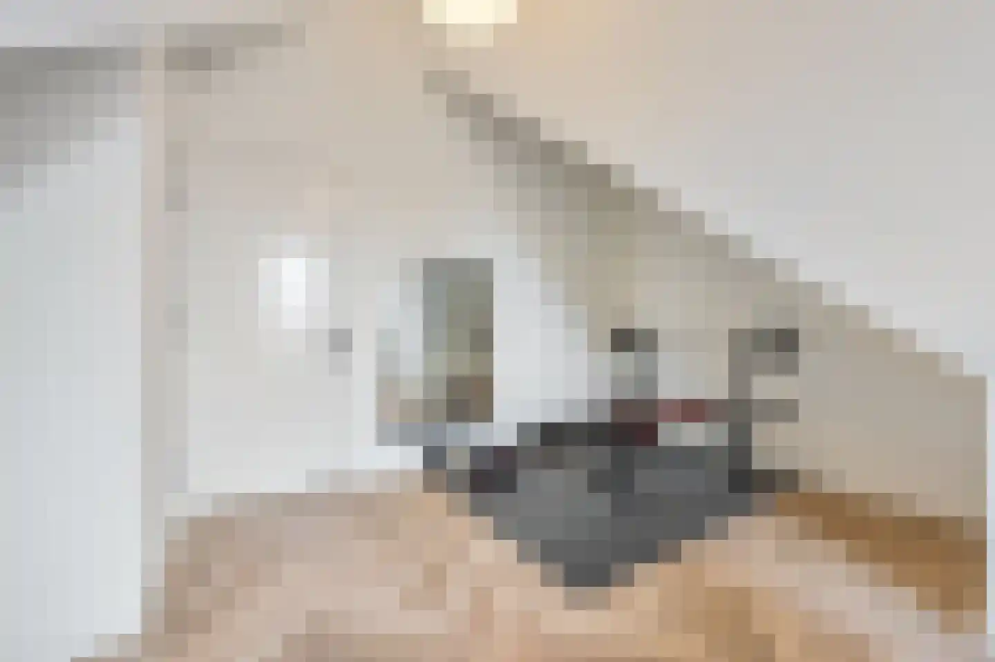 Het Schaakbord 7 Assendelft thumbnail 35