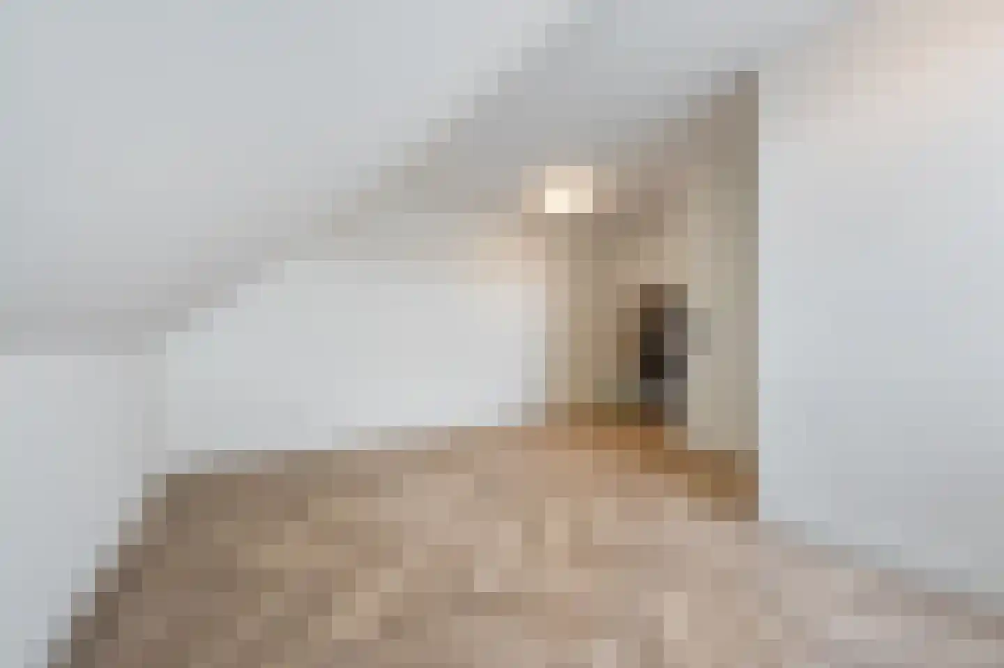Het Schaakbord 7 Assendelft thumbnail 37