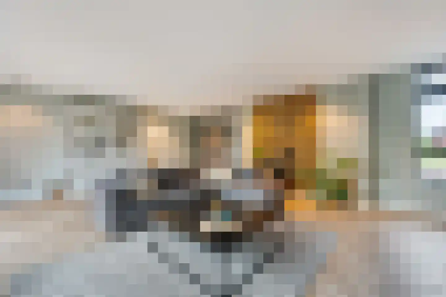Het Schaakbord 7 Assendelft thumbnail 5
