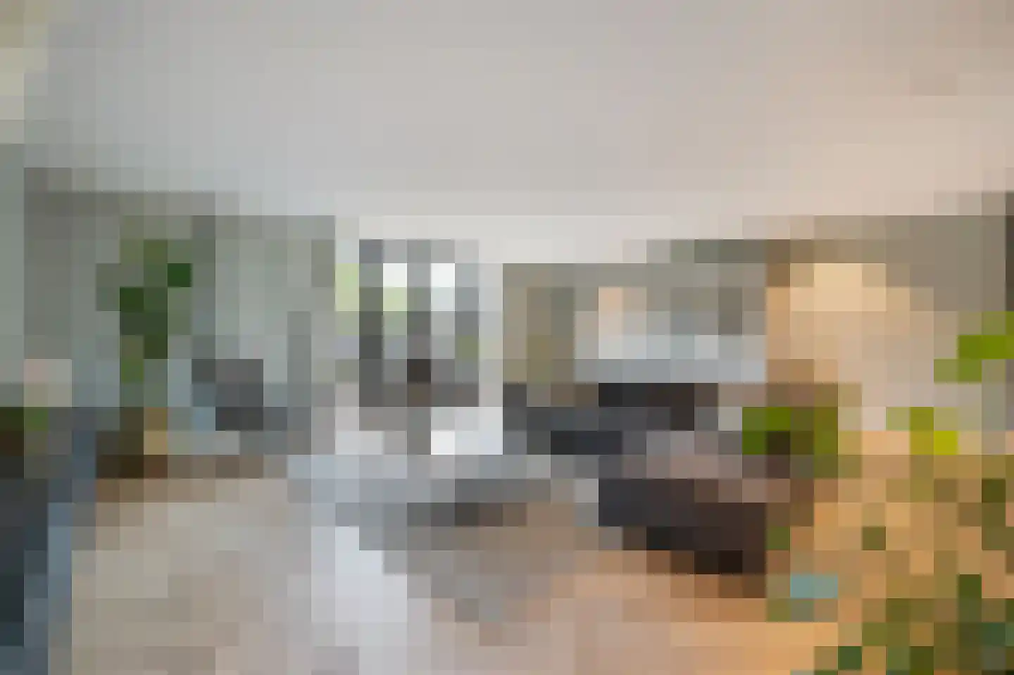 Het Schaakbord 7 Assendelft thumbnail 6