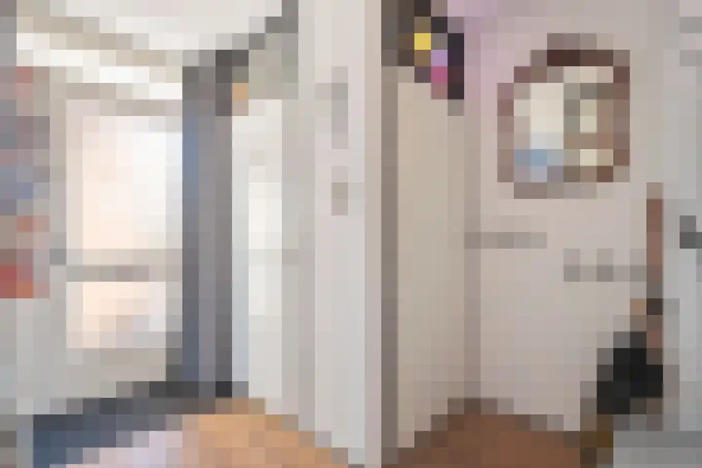 het Schar 11 Steenwijk thumbnail 12
