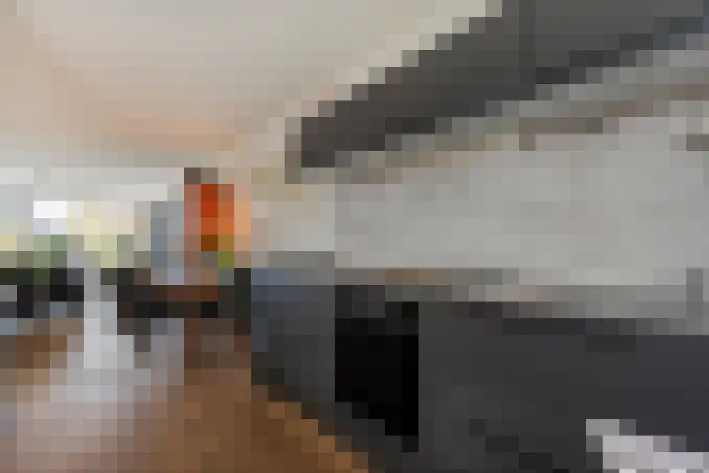 het Schar 11 Steenwijk thumbnail 22