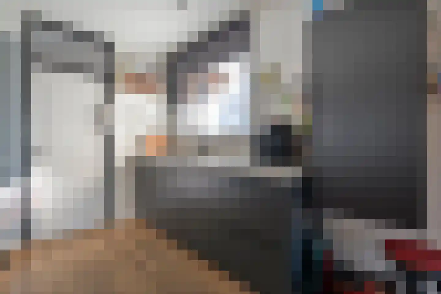 het Schar 11 Steenwijk thumbnail 25