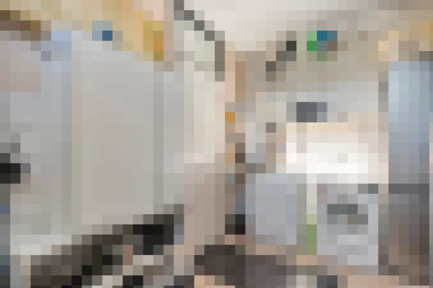 het Schar 11 Steenwijk thumbnail 26